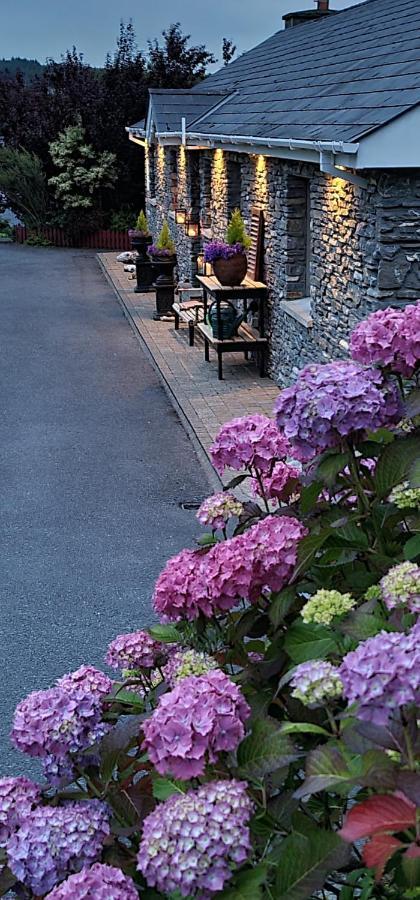 Kenmare Driftwood Bed & Breakfast المظهر الخارجي الصورة